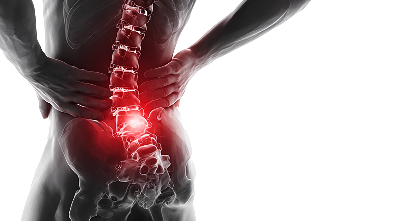 大田区ヘルニア整体