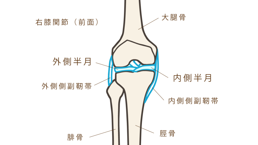 大田区膝の痛み外来