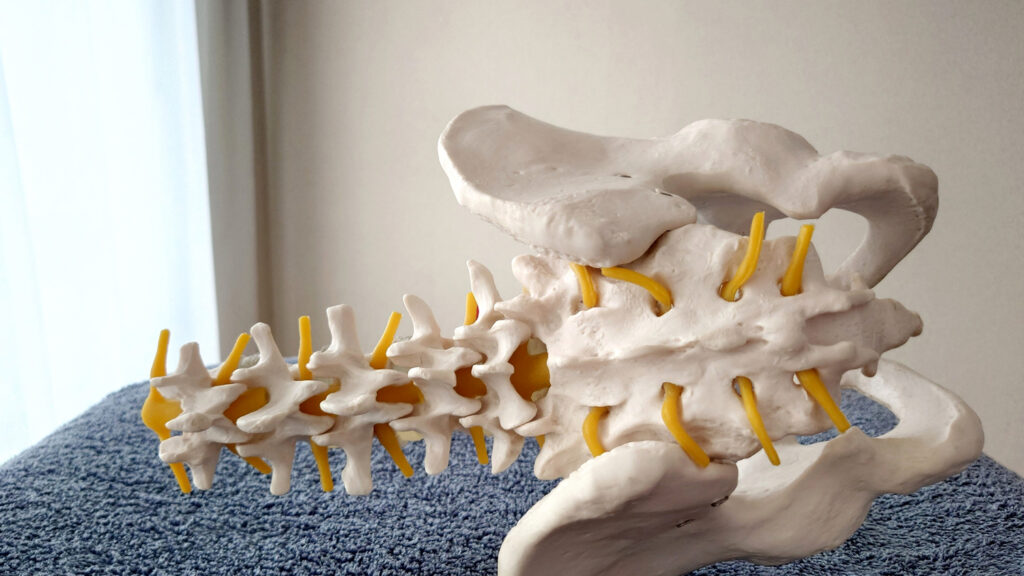 大田区ぎっくり腰整体