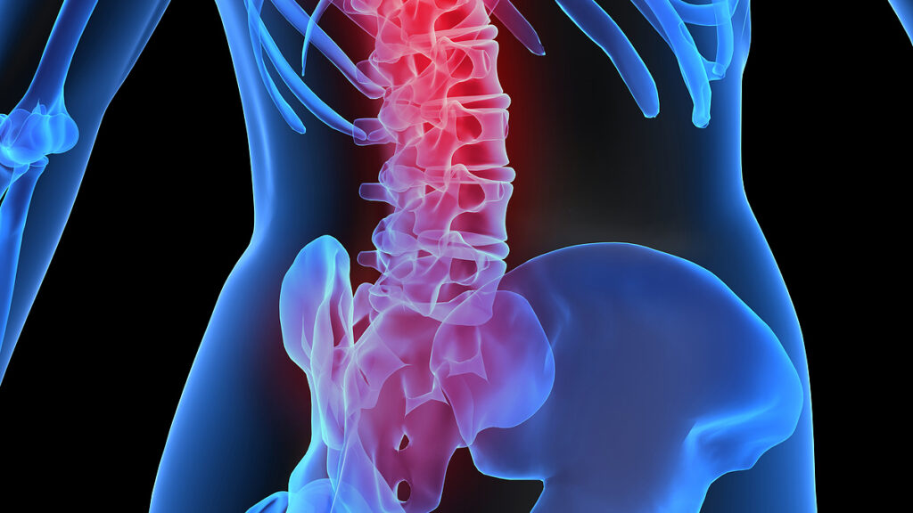 大田区ひどい腰痛専門整体